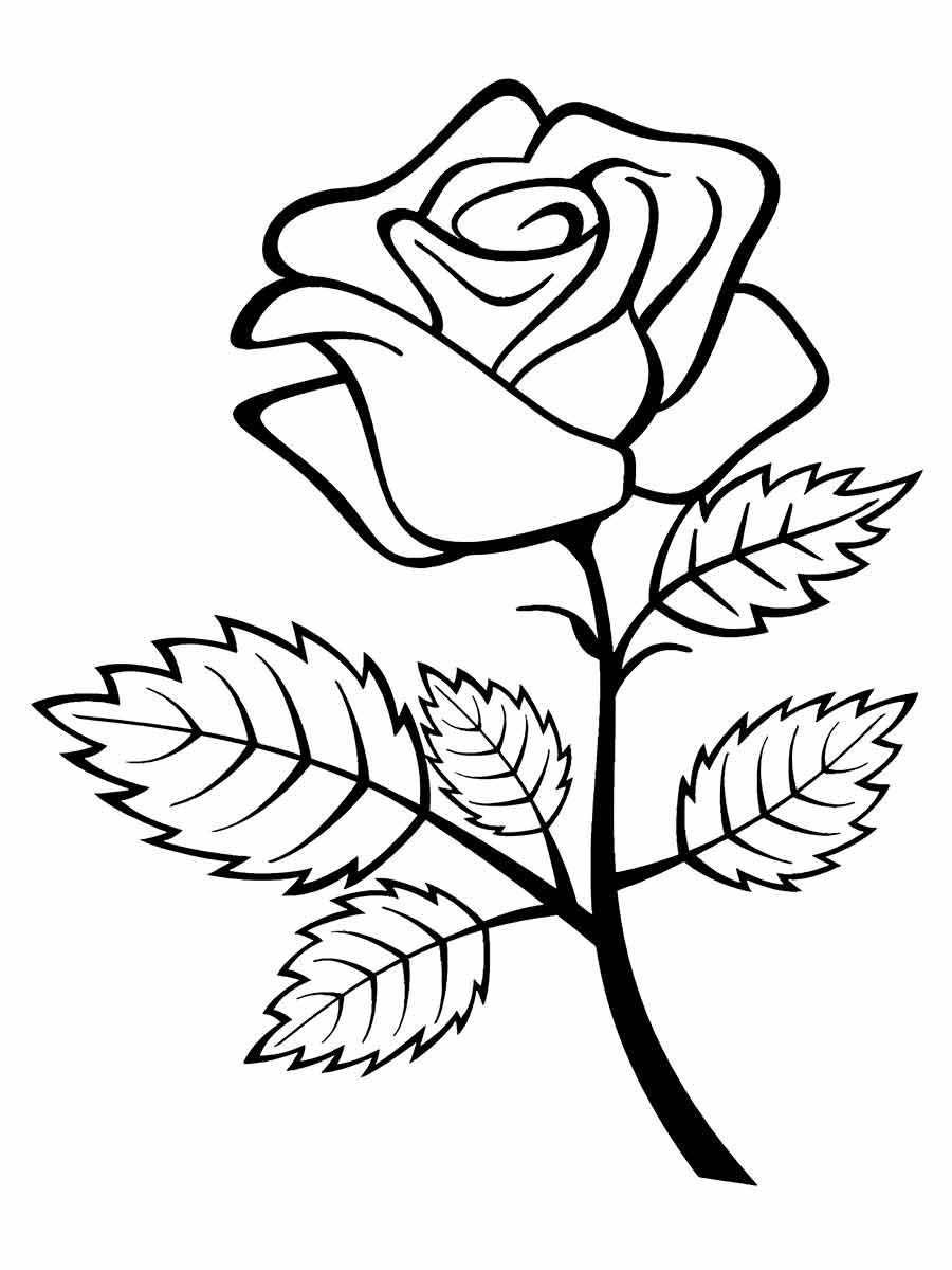 desenho flores para colorir 73