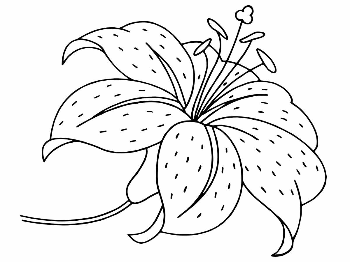 desenho flores para colorir 74