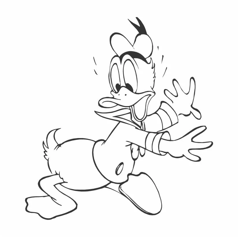 desenho para colorir pato donald 36