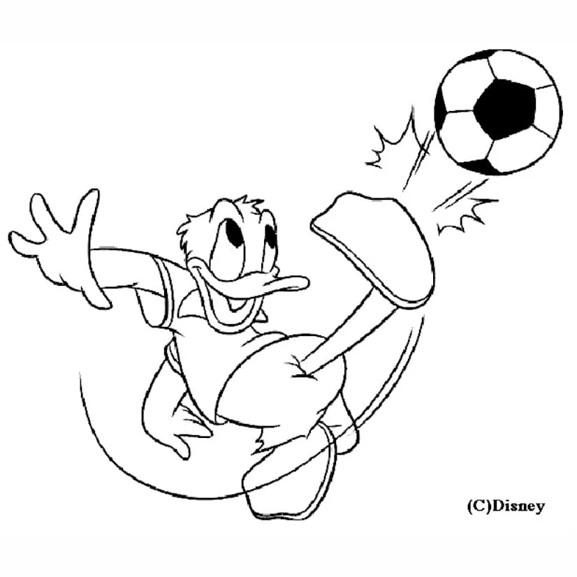 desenho para colorir pato donald 38