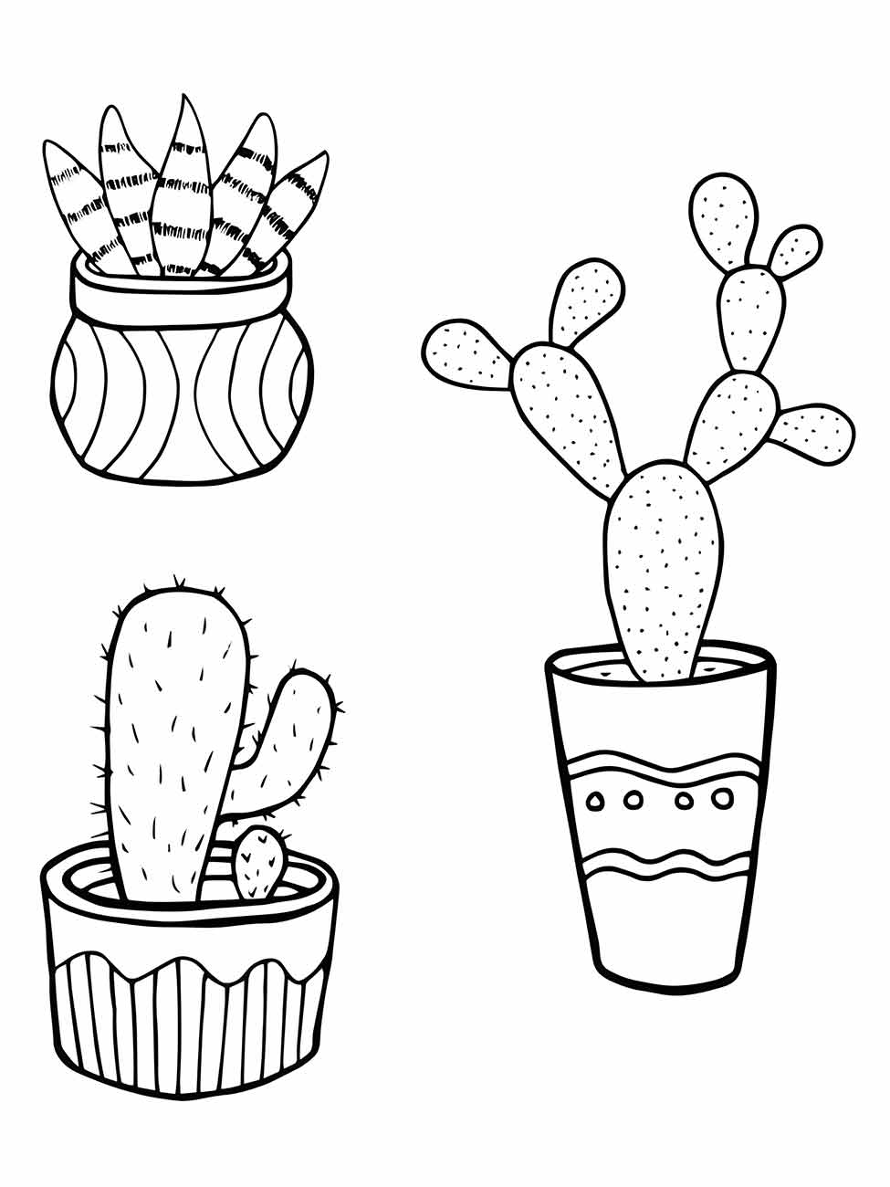 desenhos cactos para colorir 29