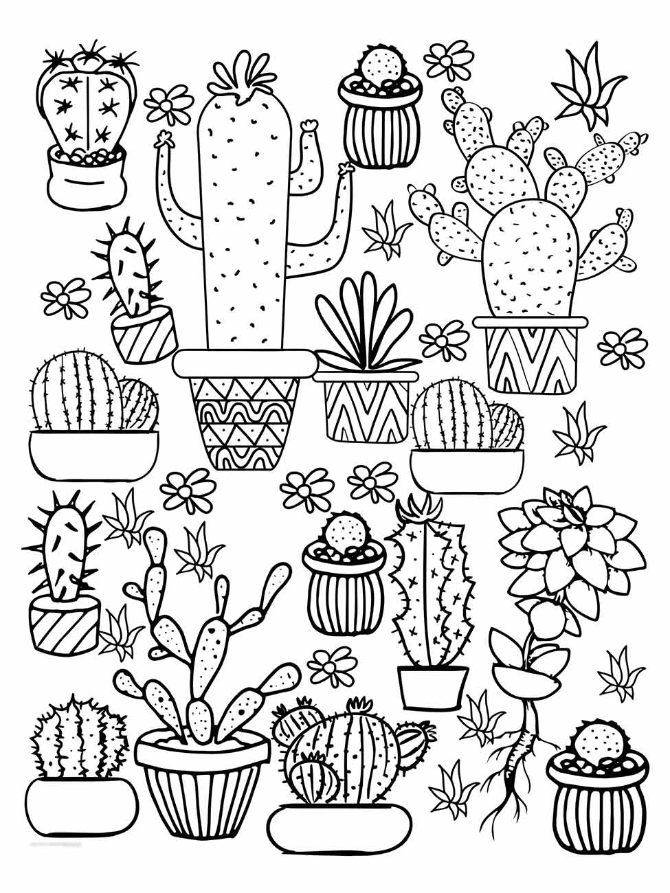 desenhos cactos para colorir 30