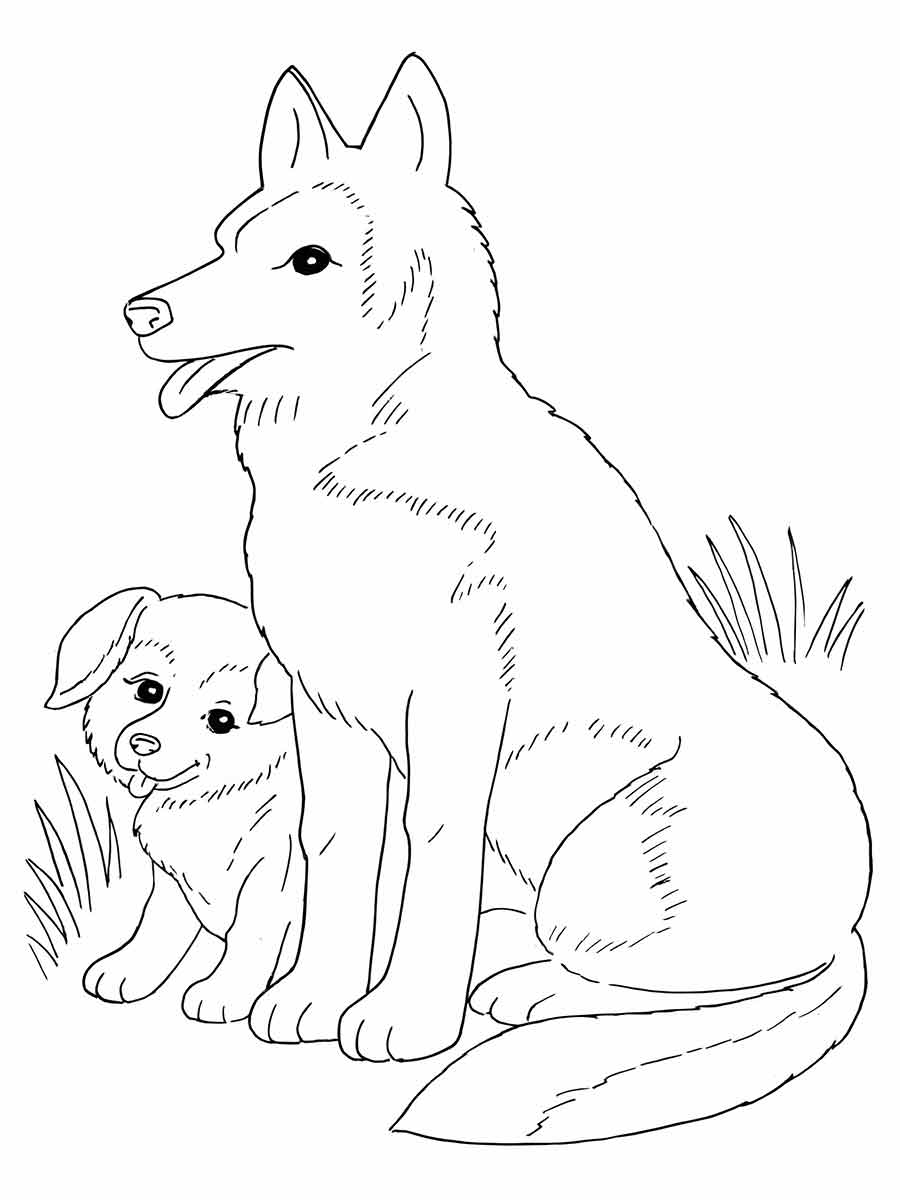 desenhos de cachorros para colorir 63