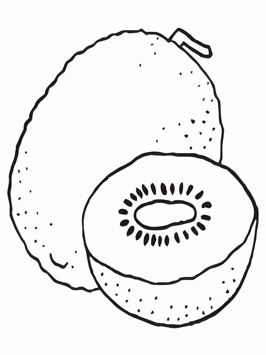 desenhos de kiwi para colorir