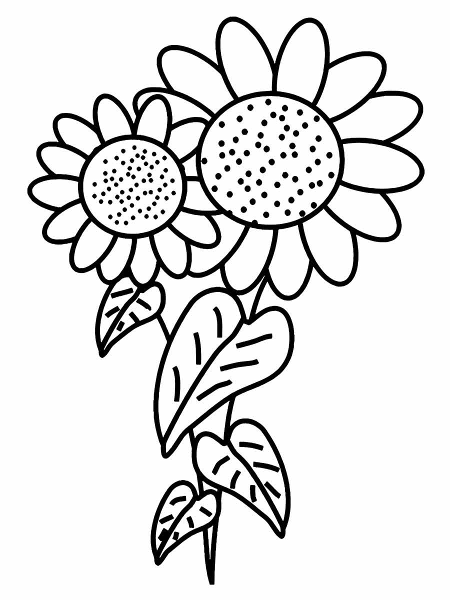 desenhos flores para colorir 23