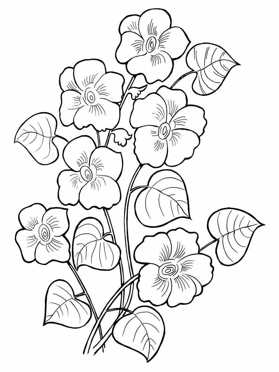 desenhos flores para colorir 26