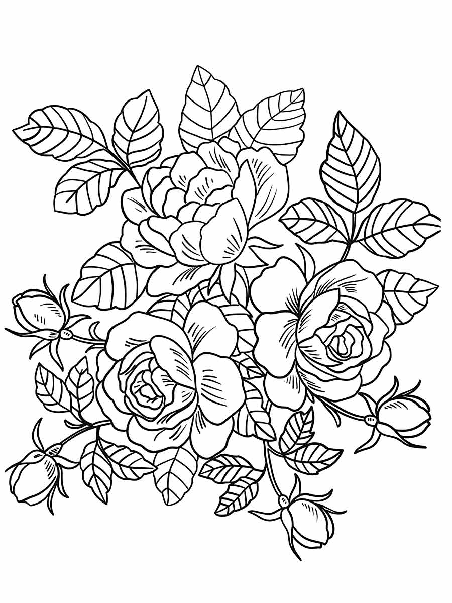 desenhos flores para colorir 27