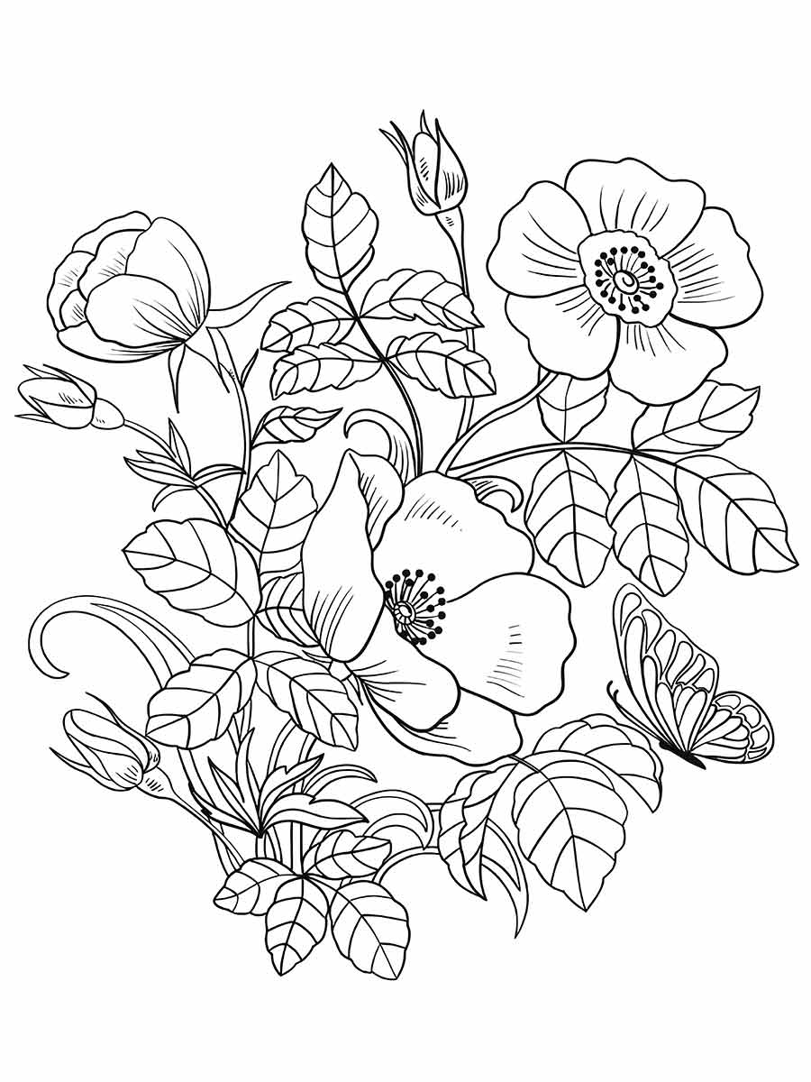 desenhos flores para colorir 28