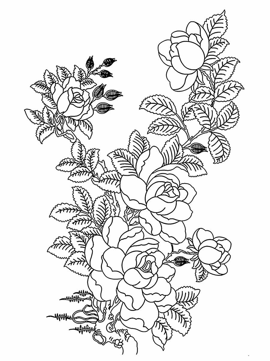 desenhos flores para colorir 37