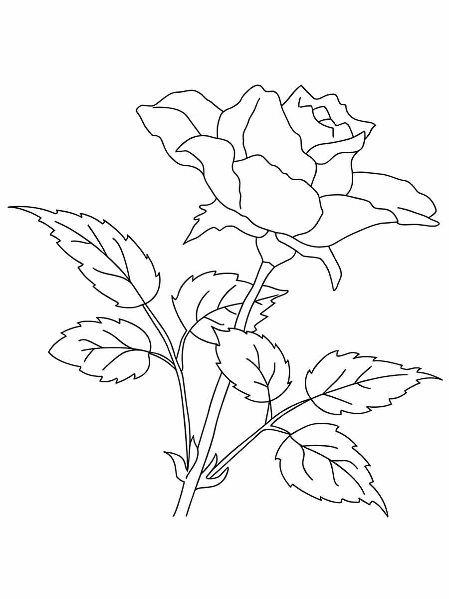 desenhos flores para colorir 39