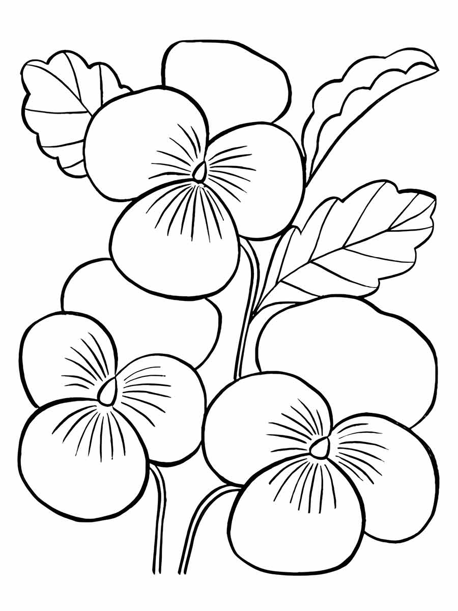 desenhos flores para colorir 40