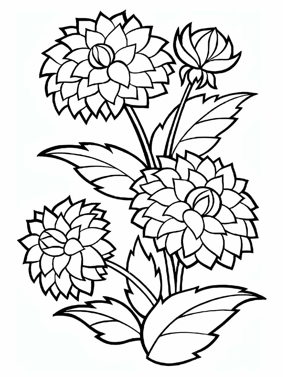 desenhos flores para colorir 46