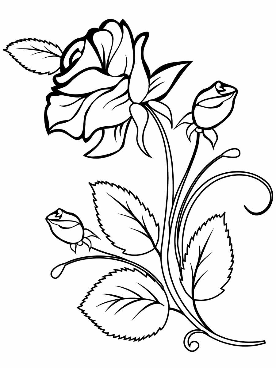 desenhos flores para colorir 47