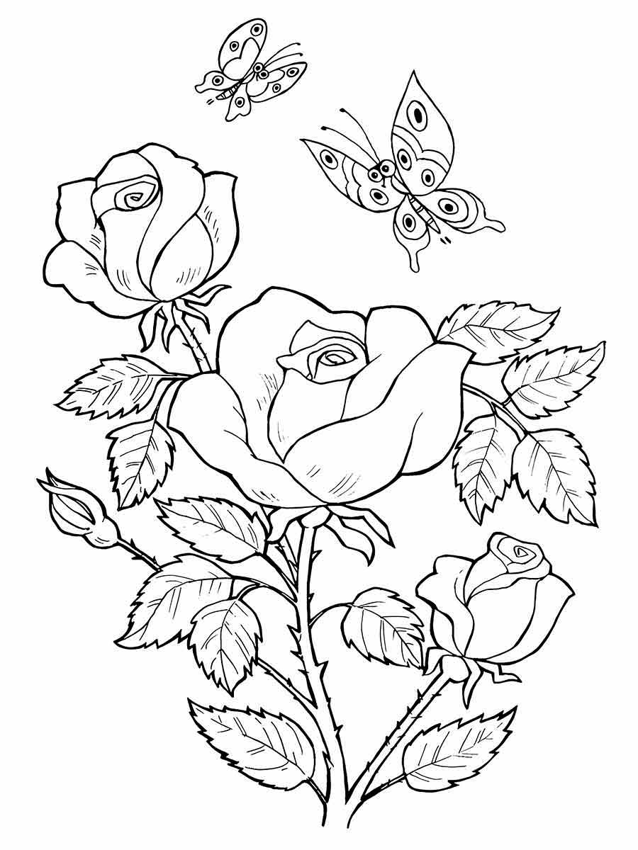 desenhos flores para colorir 50