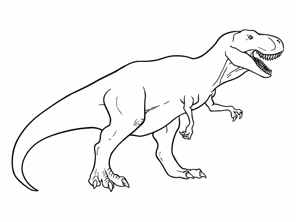 dinossauro para colorir 5