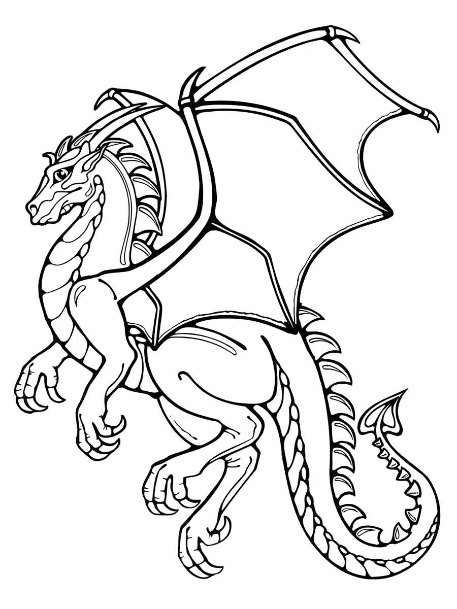 dragao para colorir 10