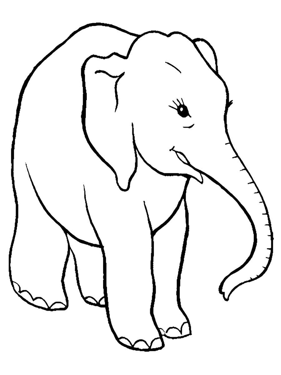 elefante para colorir 14