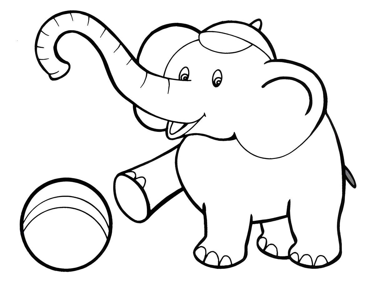 elefante para colorir 3