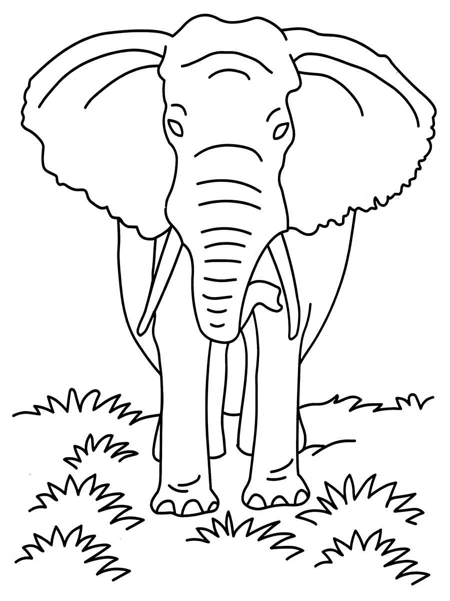 elefante para colorir 33