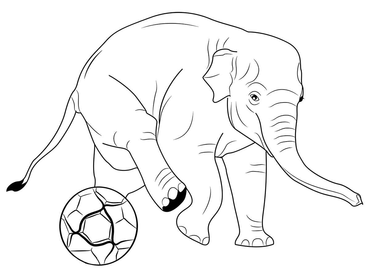 elefante para colorir 40