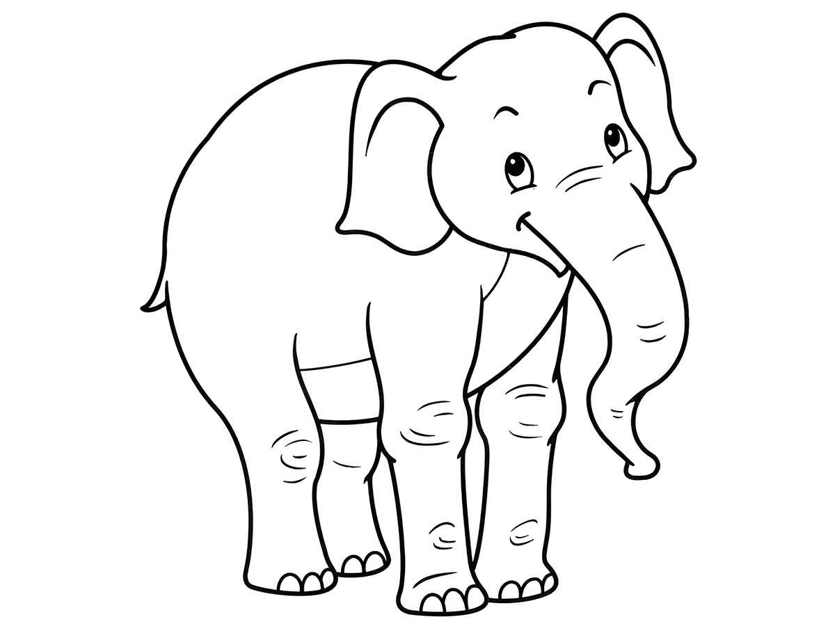 elefante para colorir