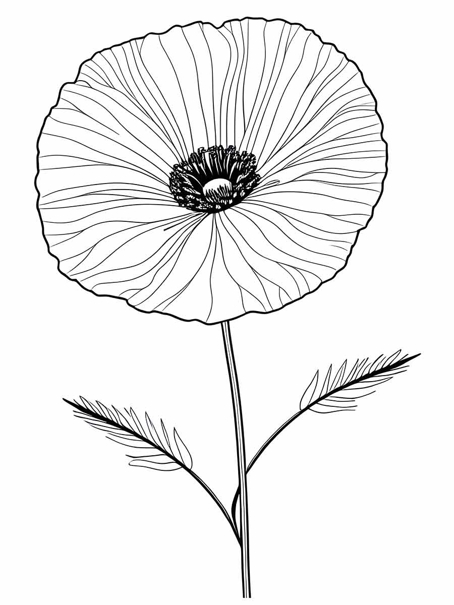 flor desenho para colorir