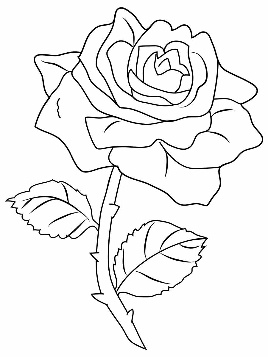 flores para colorir 12