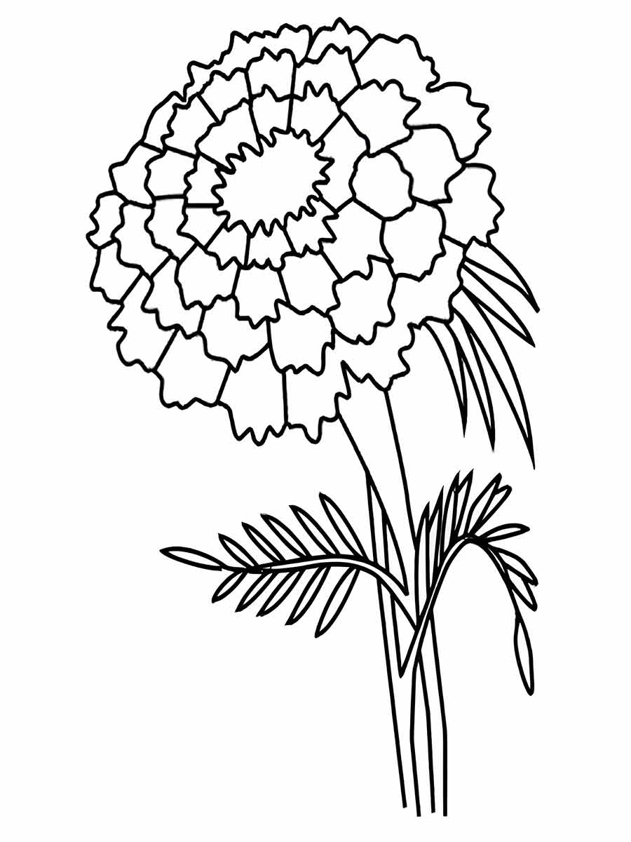 flores para colorir 16