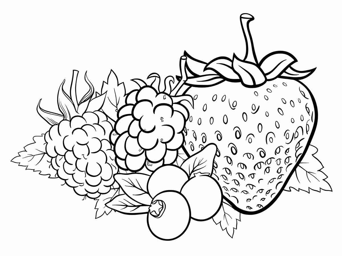 frutas para colorir 16