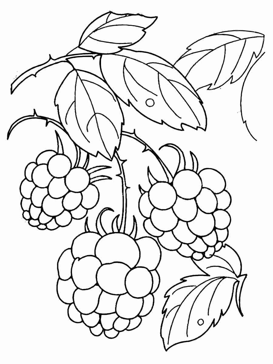 frutas para colorir 19