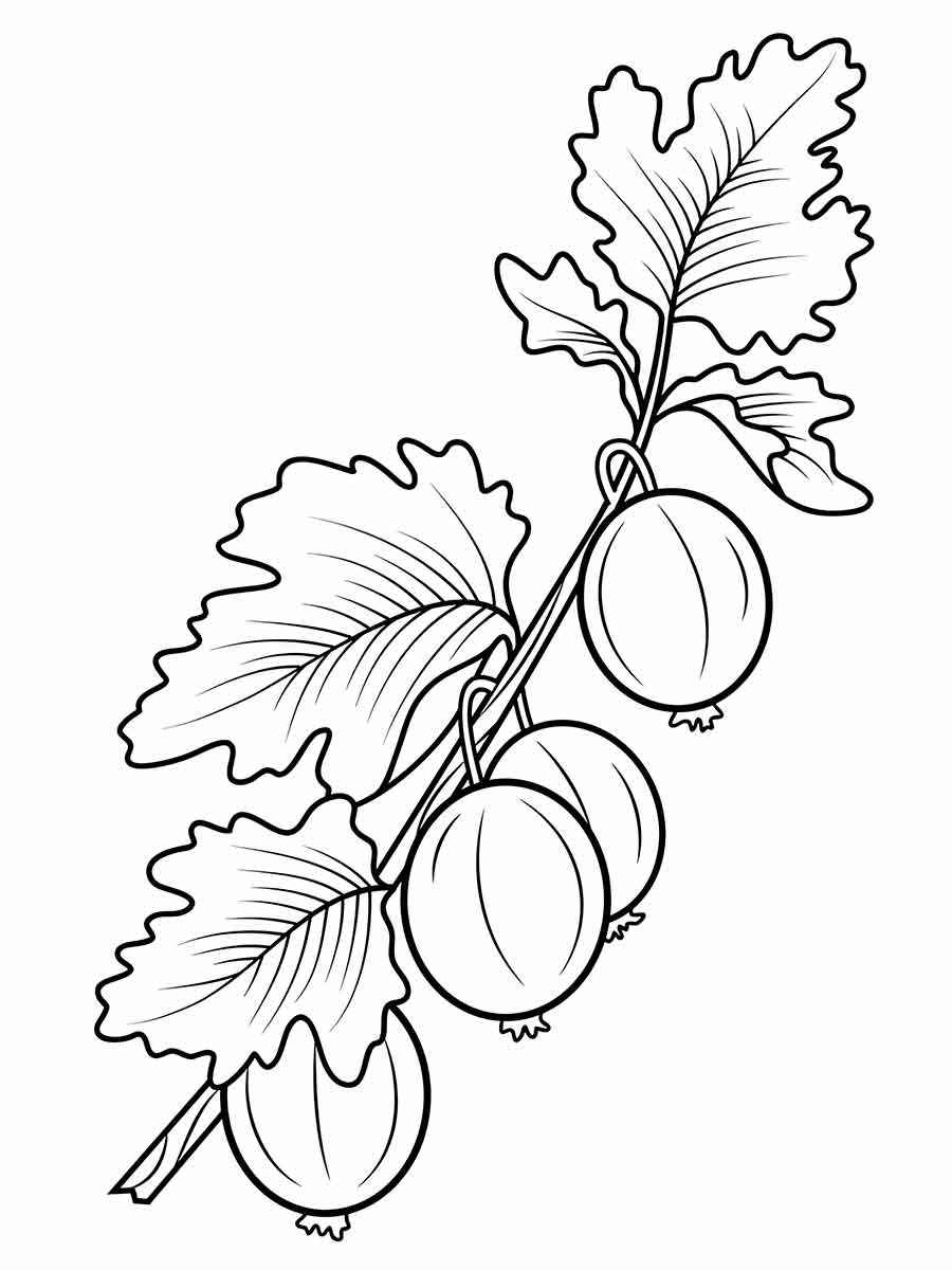 frutas para colorir 29