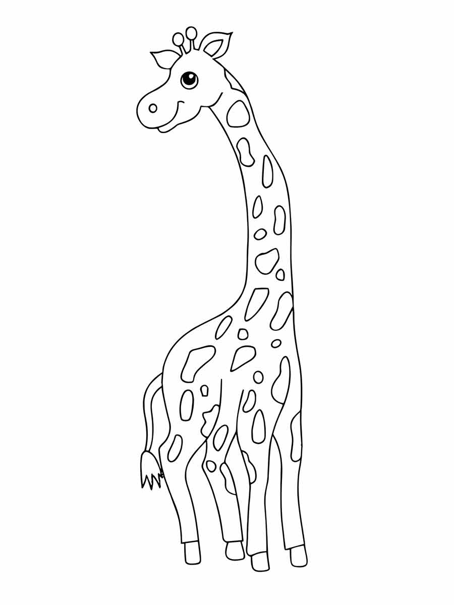 girafa para colorir 13