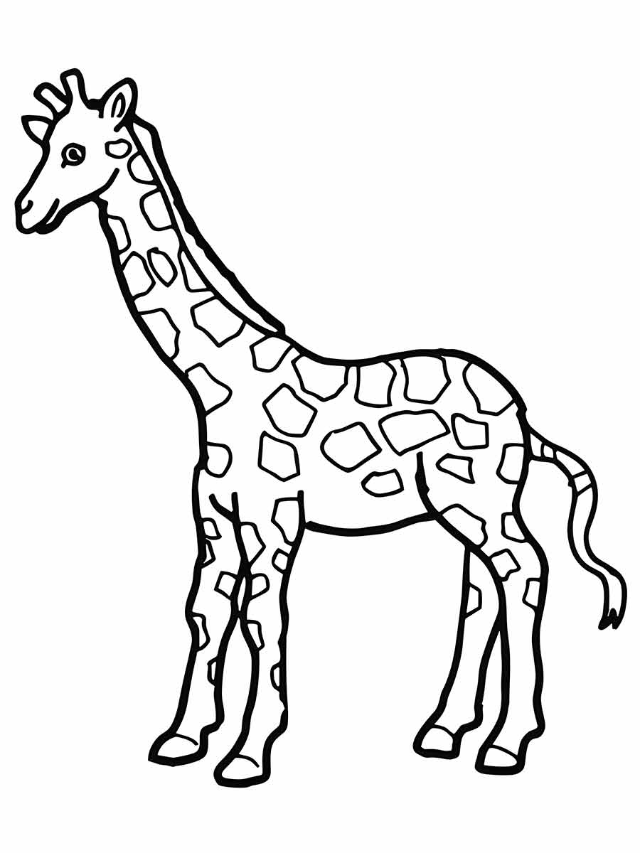 girafa para colorir 20