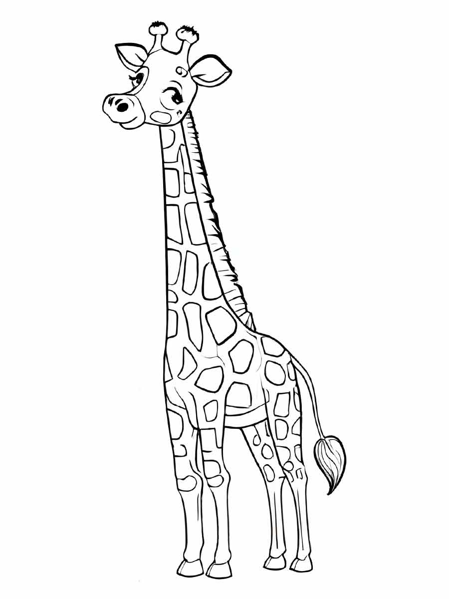 girafa para colorir 33