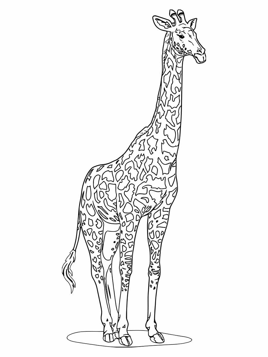 girafa para colorir 6