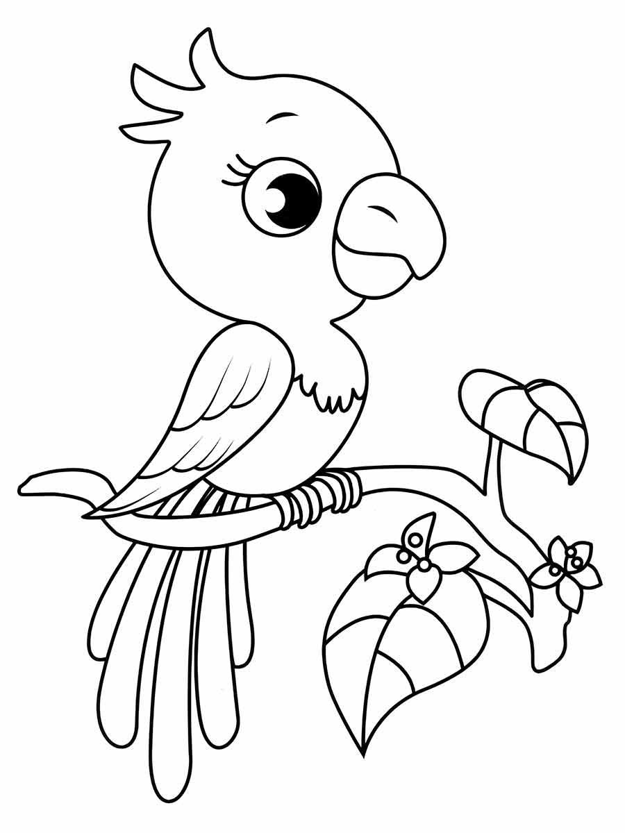 papagaio bebe desenho infantil para colorir