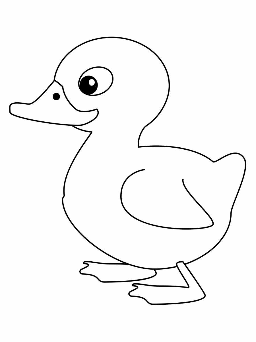 pato desenho infantil para colorir