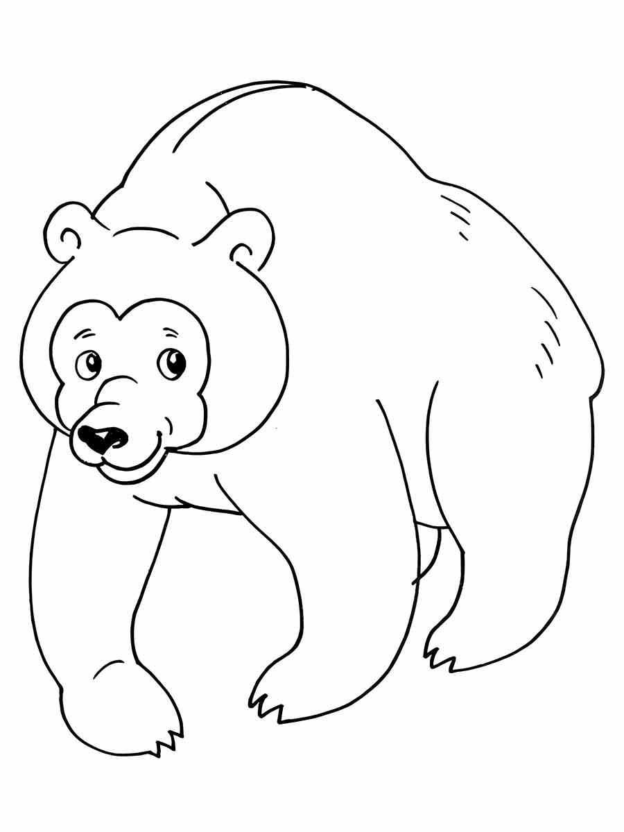 urso desenho infantil para colorir