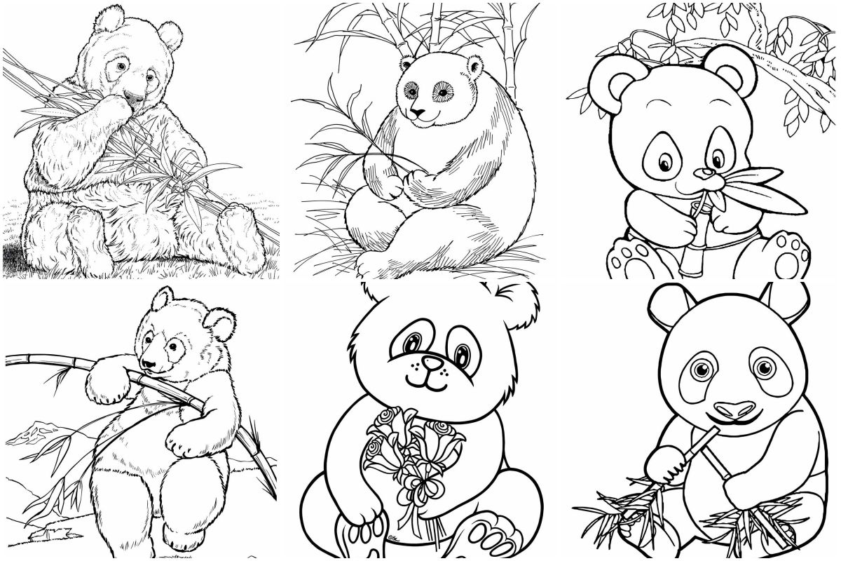 colorir Pandas para colorir