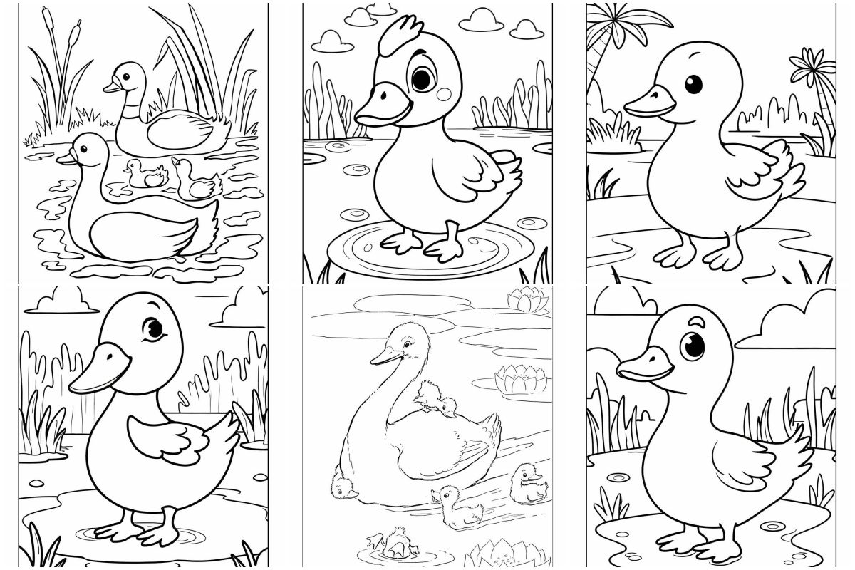 Patos para colorir