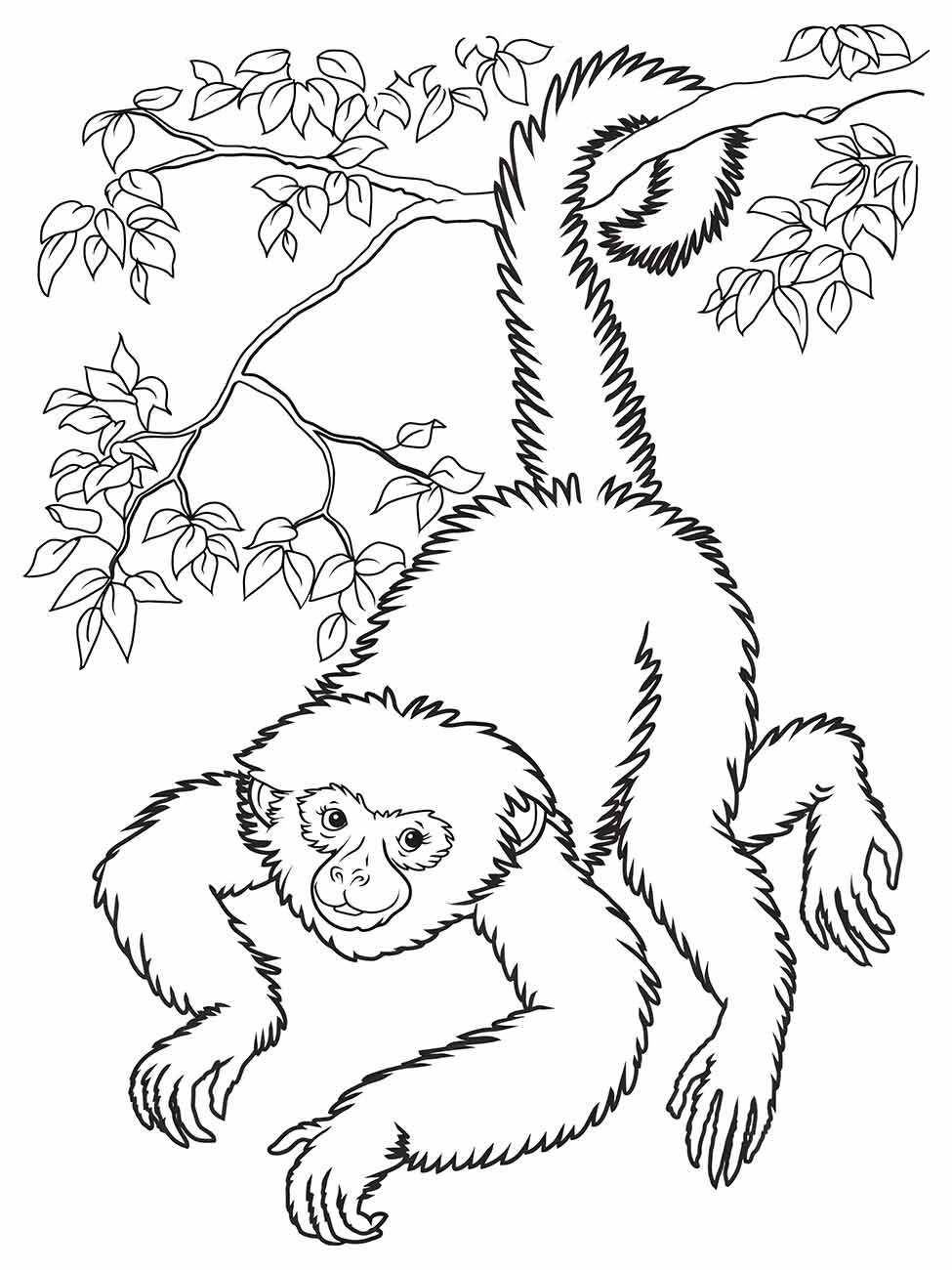 desenho de macaco para colorir 58