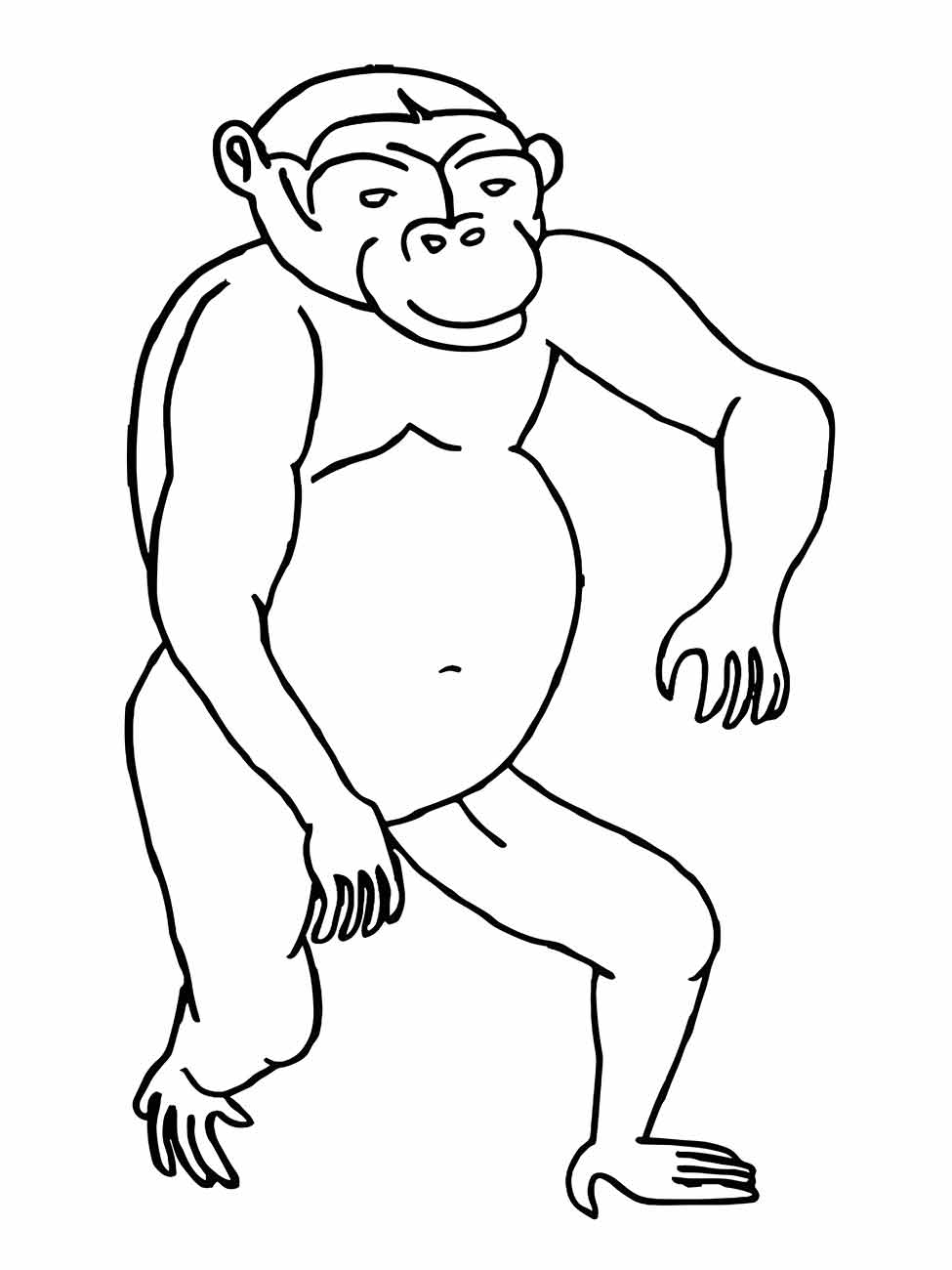 desenho de macaco para colorir 62