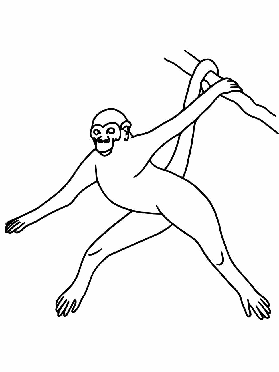 desenho de macaco para colorir 74