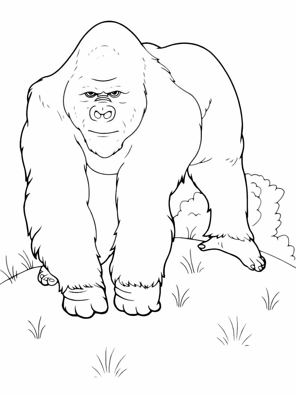 desenho de macaco para colorir 76