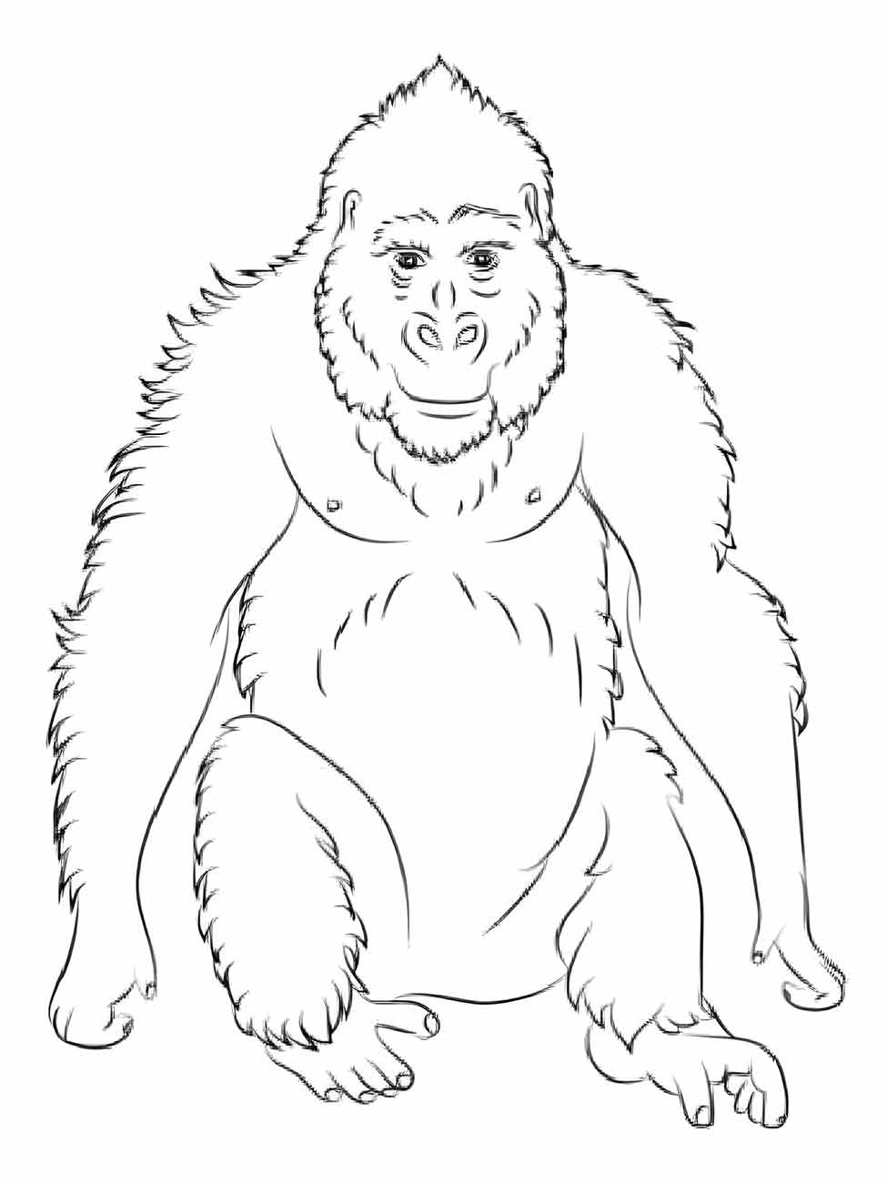 desenho de macaco para colorir 78