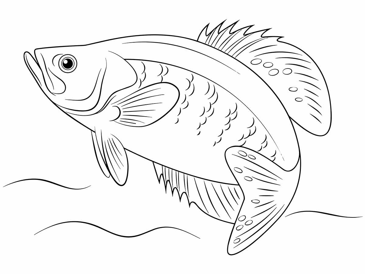 desenho de peixe para colorir 11