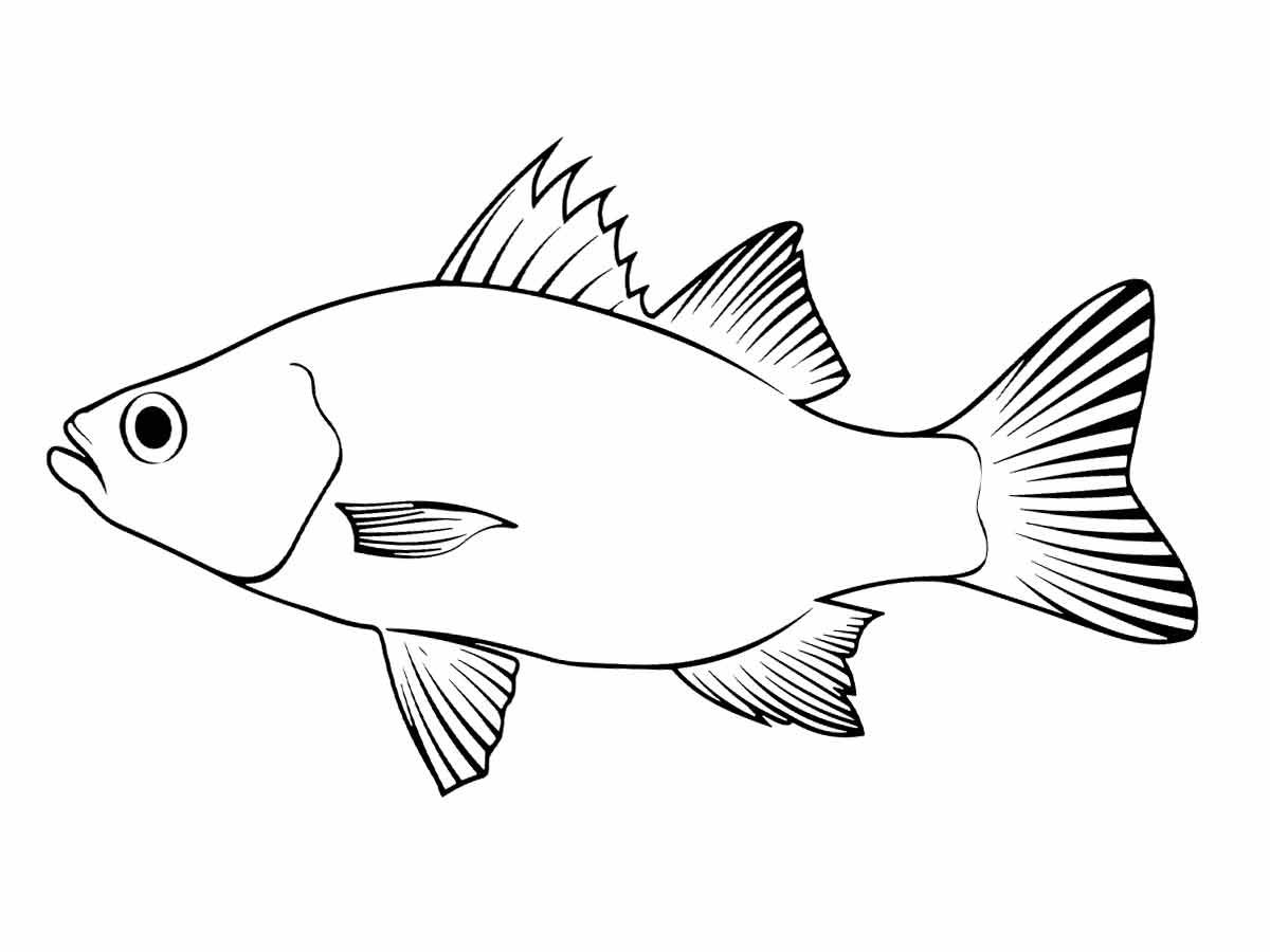 desenho de peixe para colorir 13