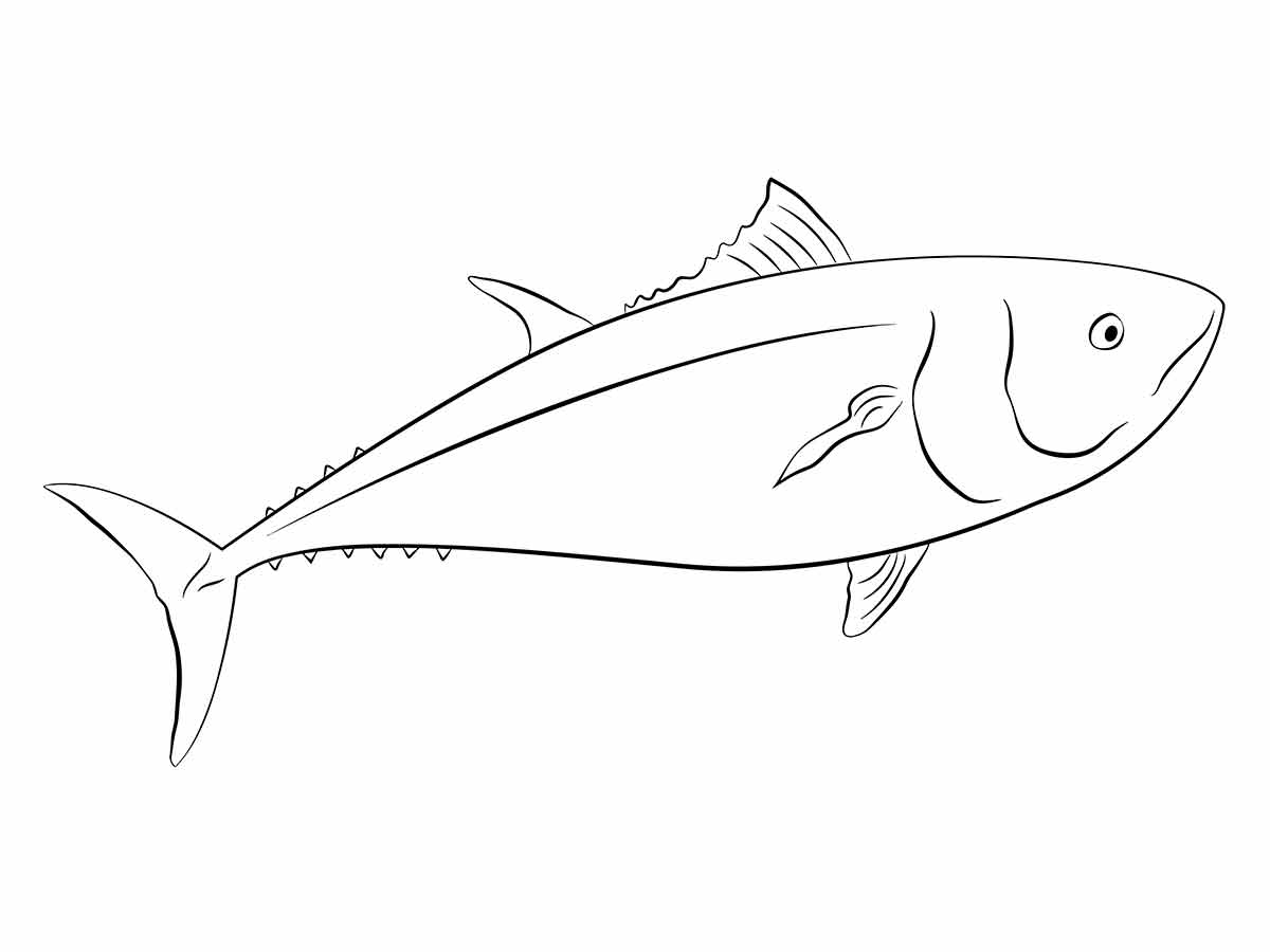 desenho de peixe para colorir 14