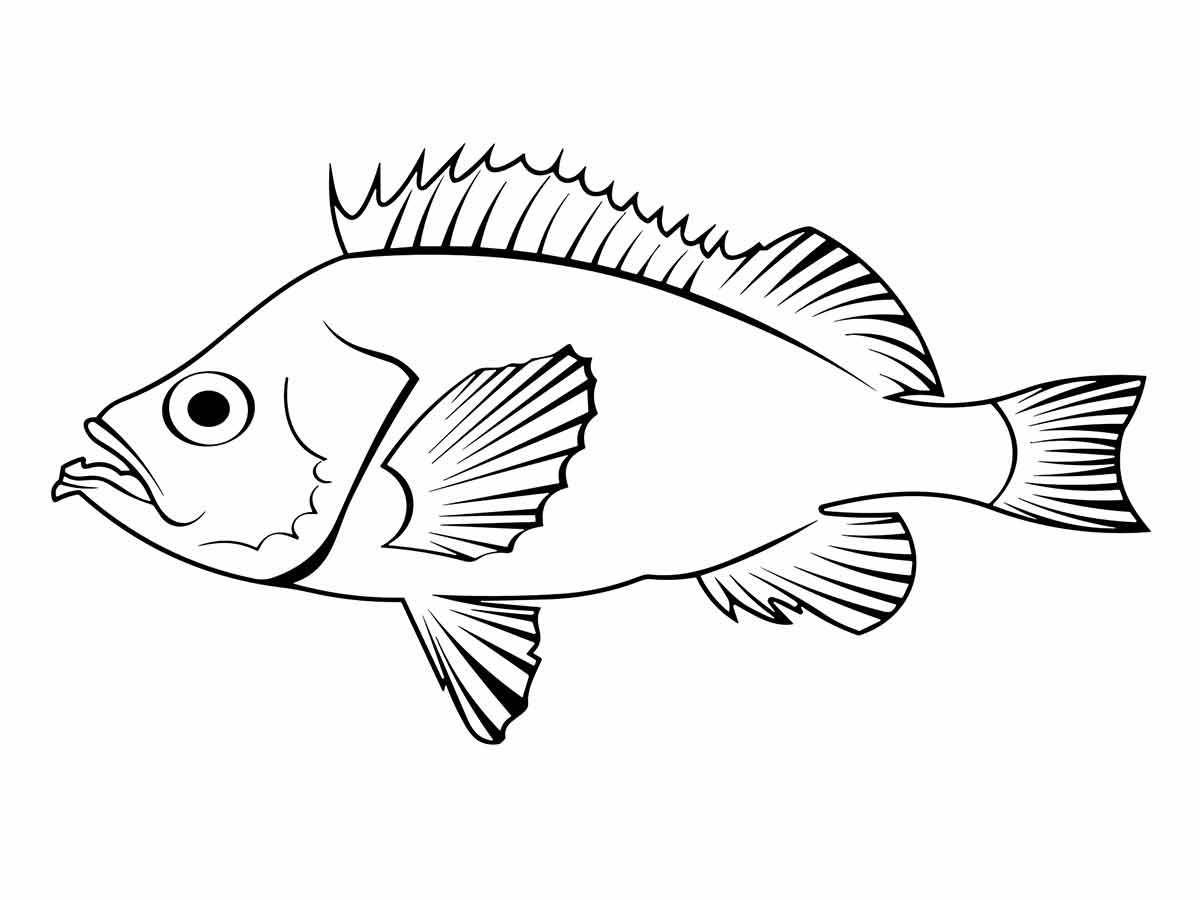 desenho de peixe para colorir 15