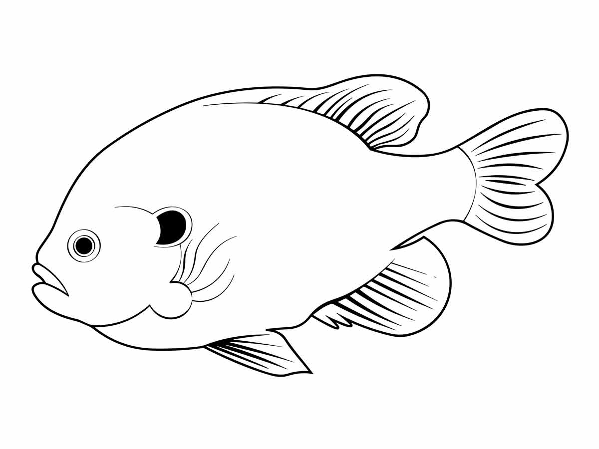 desenho de peixe para colorir 16